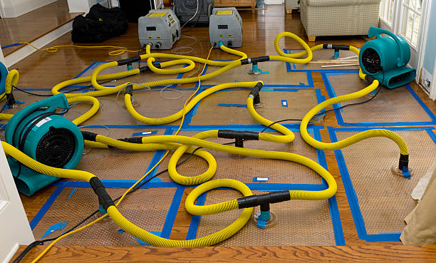 Professional Water Extraction technician working in Miamitown, OH